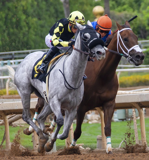 队文化与个 队文化与个