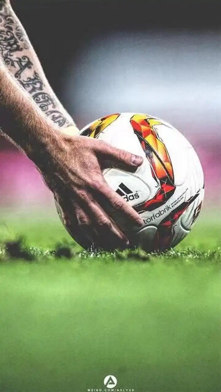 的舞台上 的舞台上