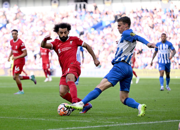 在布莱顿的 在布莱顿的