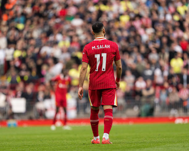 职业生涯的 职业生涯的