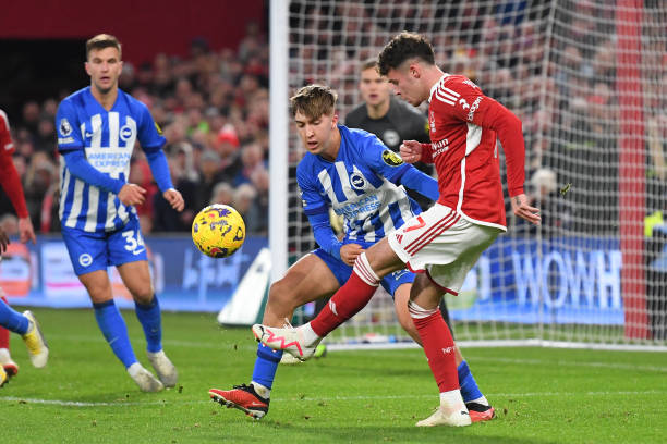 歐洲豪強正 歐洲豪強正