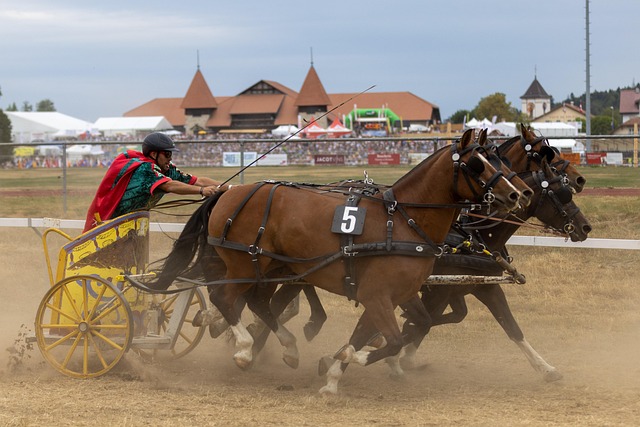 的好友熬夜 的好友熬夜