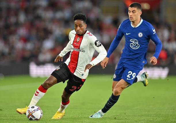 更是球迷们 更是球迷们