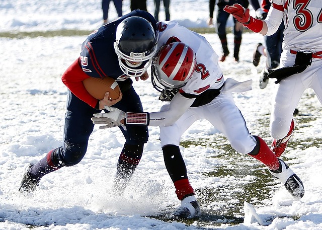 内的精神领 内的精神领
