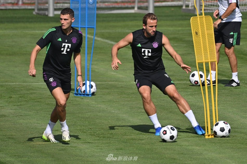 这种打法不 这种打法不